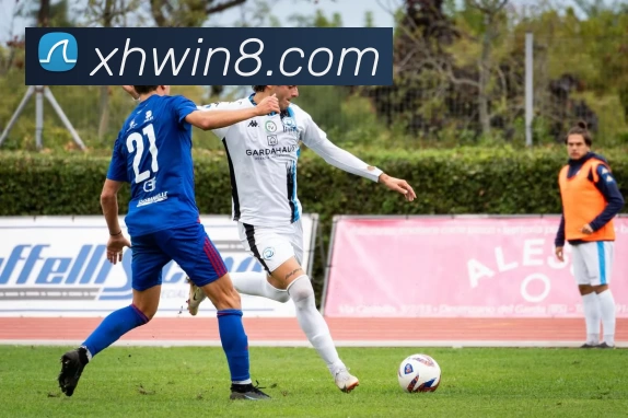 新航娱乐官网平台生态图